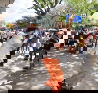 Australian National Busking Championships - Holiday Find