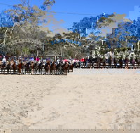 Australian Campdraft Association National Finals Campdraft 2021 - Holiday Find