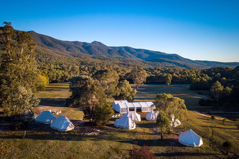 A Wild Night Out - Spring - Holiday Find 5