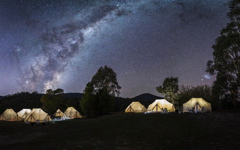 A Wild Night Out - Spring - Holiday Find 6