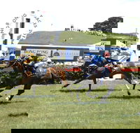 Bong Bong Picnic Races - Holiday Find