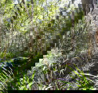 Bottlebutt Bash Trail Run - Holiday Find