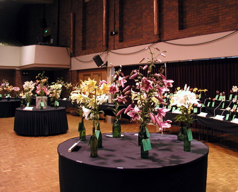 Burnie Lilium Show - Holiday Find 0