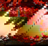 Carols by Candlelight Boorowa - Holiday Find