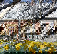 Daffodils at Rydal - Holiday Find