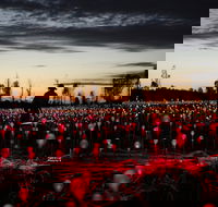 Field of Light Uluru - Holiday Find