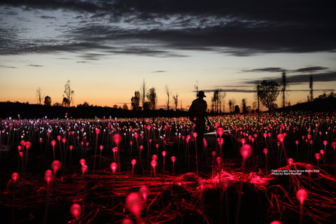 Field Of Light Uluru - Holiday Find 0