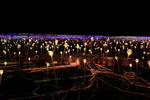 Field Of Light Uluru - Holiday Find 1