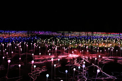 Field Of Light Uluru - Holiday Find 2