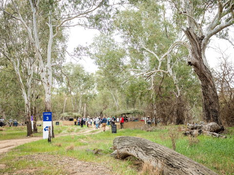 Grazing Down The Lachlan - Holiday Find 2