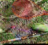 Guyra TroutFest - Holiday Find