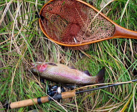 Guyra TroutFest - Holiday Find 0