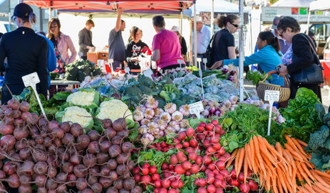 Harvest Launceston Community Farmers' Market - Holiday Find 2