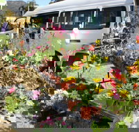 Johns River Country Markets - Holiday Find