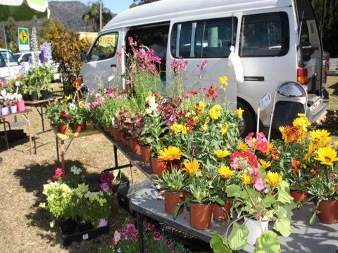 Johns River Country Markets - Holiday Find 0