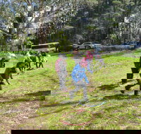 July 2020 Holidays- Forest Adventures Treasure Hunt - Holiday Find