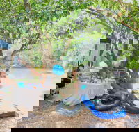 Jungle Love Festival - Holiday Find