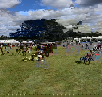 Majors Creek Festival - Holiday Find