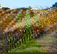 Miners Ridge Wine Tasting - Holiday Find