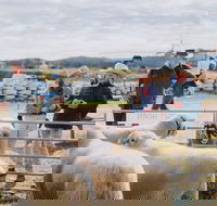 Mudgee Small Farm Field Days - Holiday Find