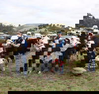 Noorat Show - Holiday Find