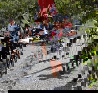 Paluma Push 2020 - Holiday Find