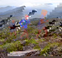 Peaks and Trails Run - Holiday Find
