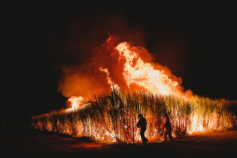 Sweet Days, Hot Nights Festival - Holiday Find 1