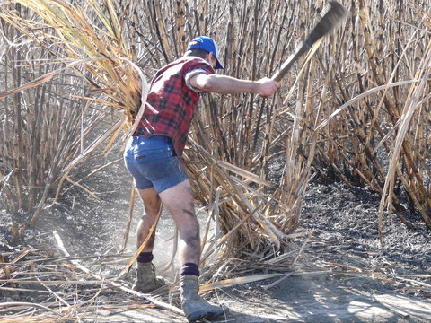 Sweet Days, Hot Nights Festival - Holiday Find 2