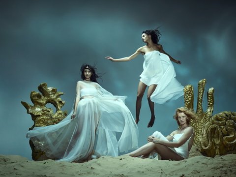 The Ring Cycle - Holiday Find 0