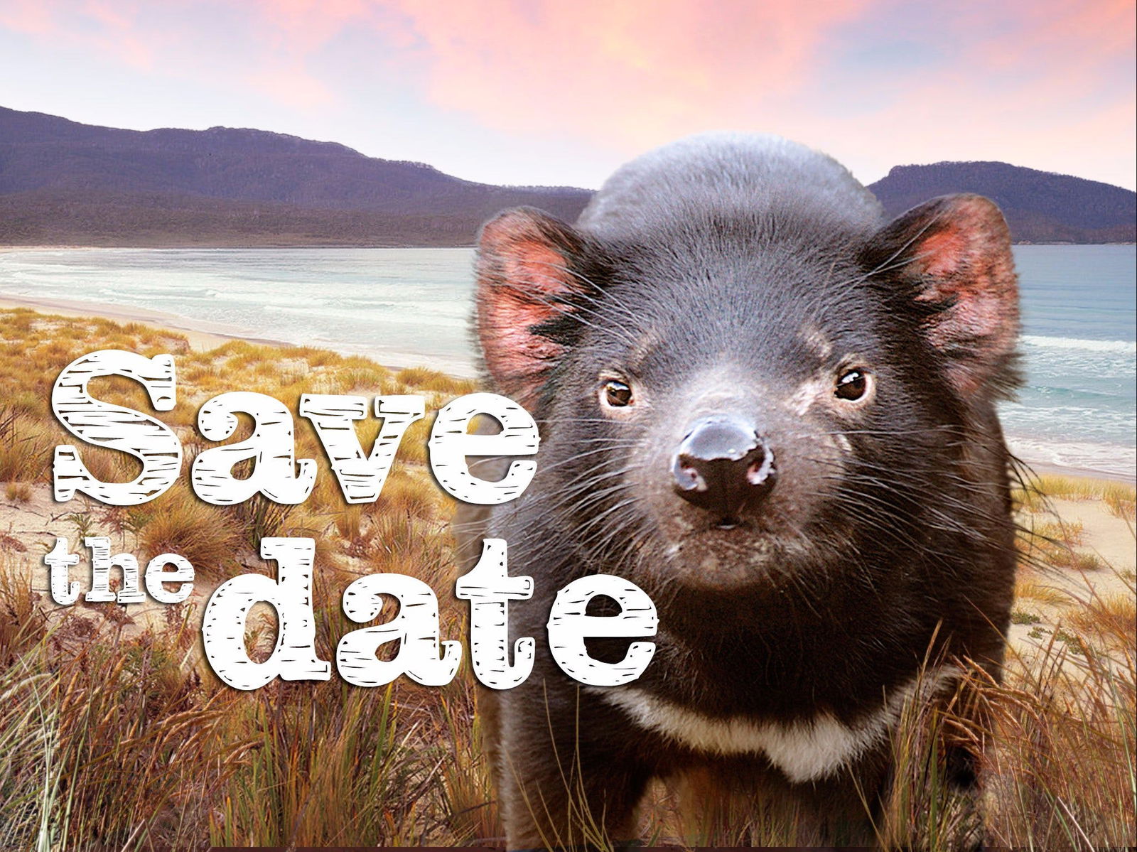 Antill Ponds TAS Holiday Find