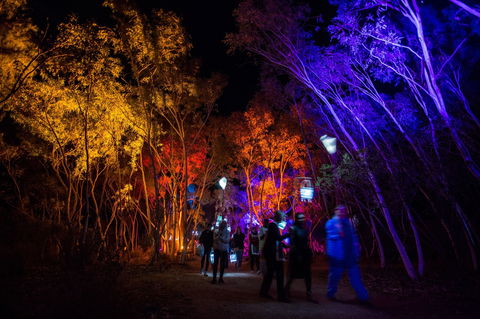 Unbroken Land 2020 - Holiday Find 0