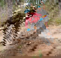 Fox Superflow sealed by Stan's Race  Greenvalleys - Holiday Find