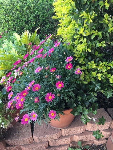 Country Pathfinder Motor Inn - Holiday Find 1