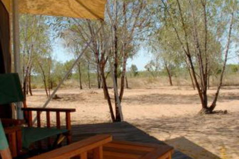 Home Valley Station - Holiday Find 5