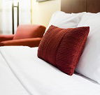 Atherton Rainforest Motor Inn - Holiday Find