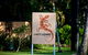 Lazy Lizard Motor Inn - thumb 0