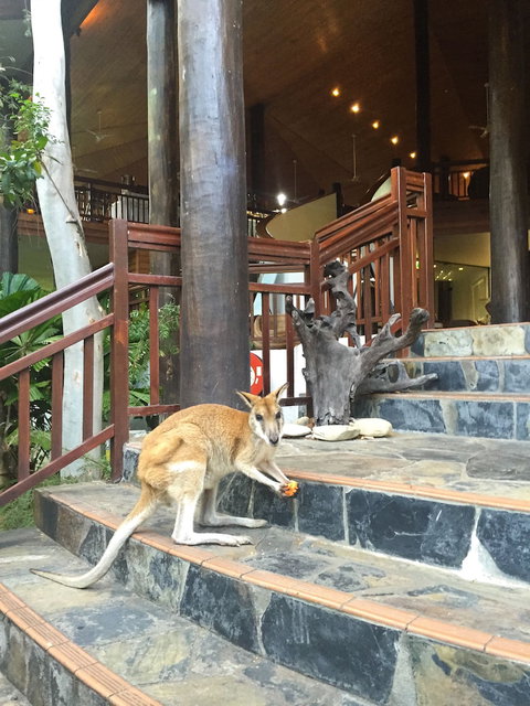 Thala Beach Nature Reserve - Holiday Find 2