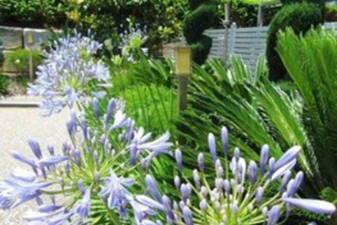 Highfields Motel Toowoomba - Holiday Find 5