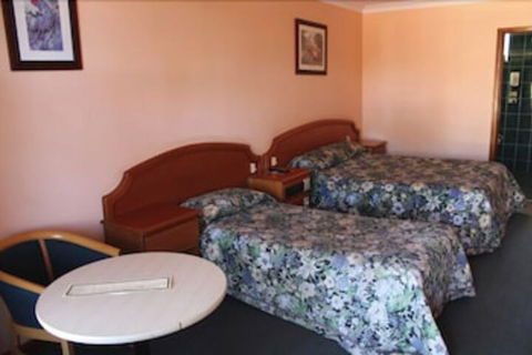 Nandewar Motor Inn - Holiday Find 4