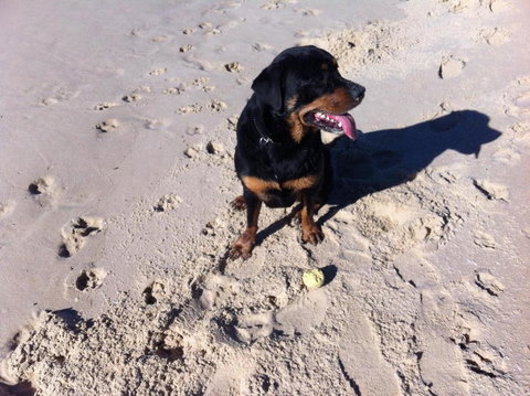 The Beach Townhouse - Holiday Find 1