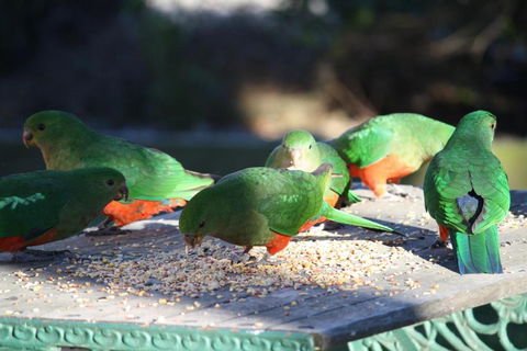Omeo Motel - Holiday Find 4