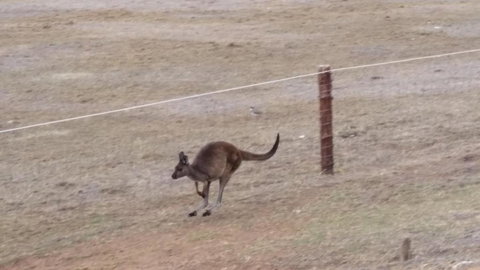 Elanora Tranquility At Emu Bay - Holiday Find 5