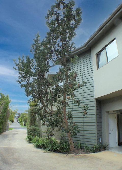 Rolling Waves 1 - Holiday Find 0