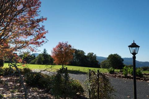 Lookout Mountain Retreat - Holiday Find 0