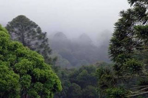 Bunya Mountains Accommodation Centre - Holiday Find 3