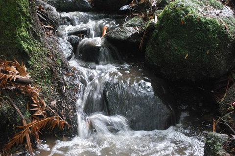 Rocky Creek Art Garden B&B - Holiday Find 4