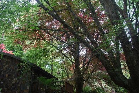 Rocky Creek Art Garden B&B - Holiday Find 2