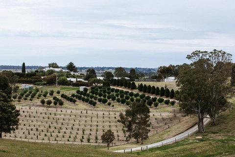 Rivendell East Gippsland - Holiday Find 6