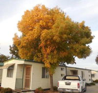 Wodonga Caravan  Cabin Park - Holiday Find